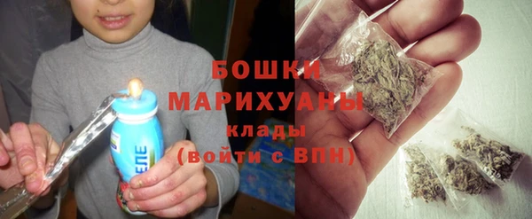 шишки Алзамай