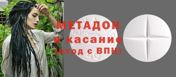 прущие грибы Алексеевка