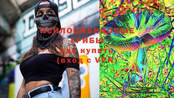 прущие грибы Алексеевка