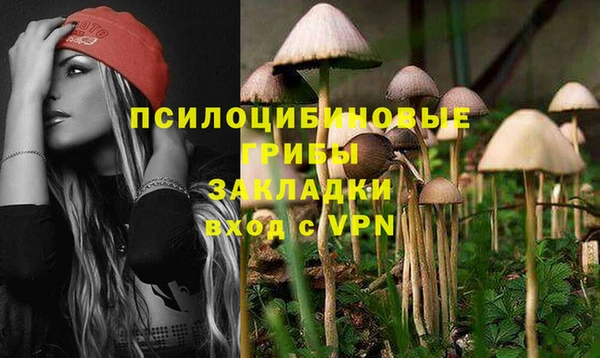 прущие грибы Алексеевка