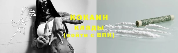 амф Алексин
