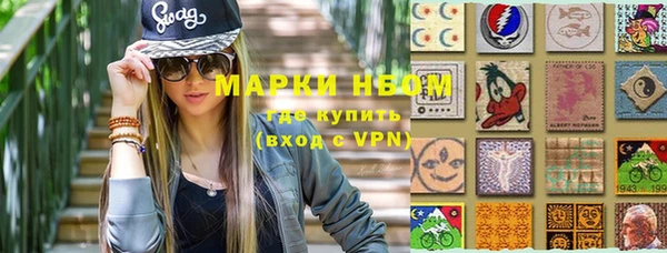 шишки Алзамай