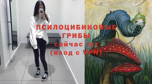 шишки Алзамай