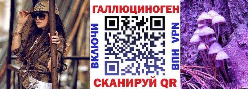 продажа наркотиков  мега онион  Псилоцибиновые грибы Psilocybine cubensis  Пудож 