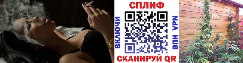 купить наркотики сайты  Пудож  Конопля OG Kush 